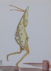 Homo Insectus, saftgrün 4